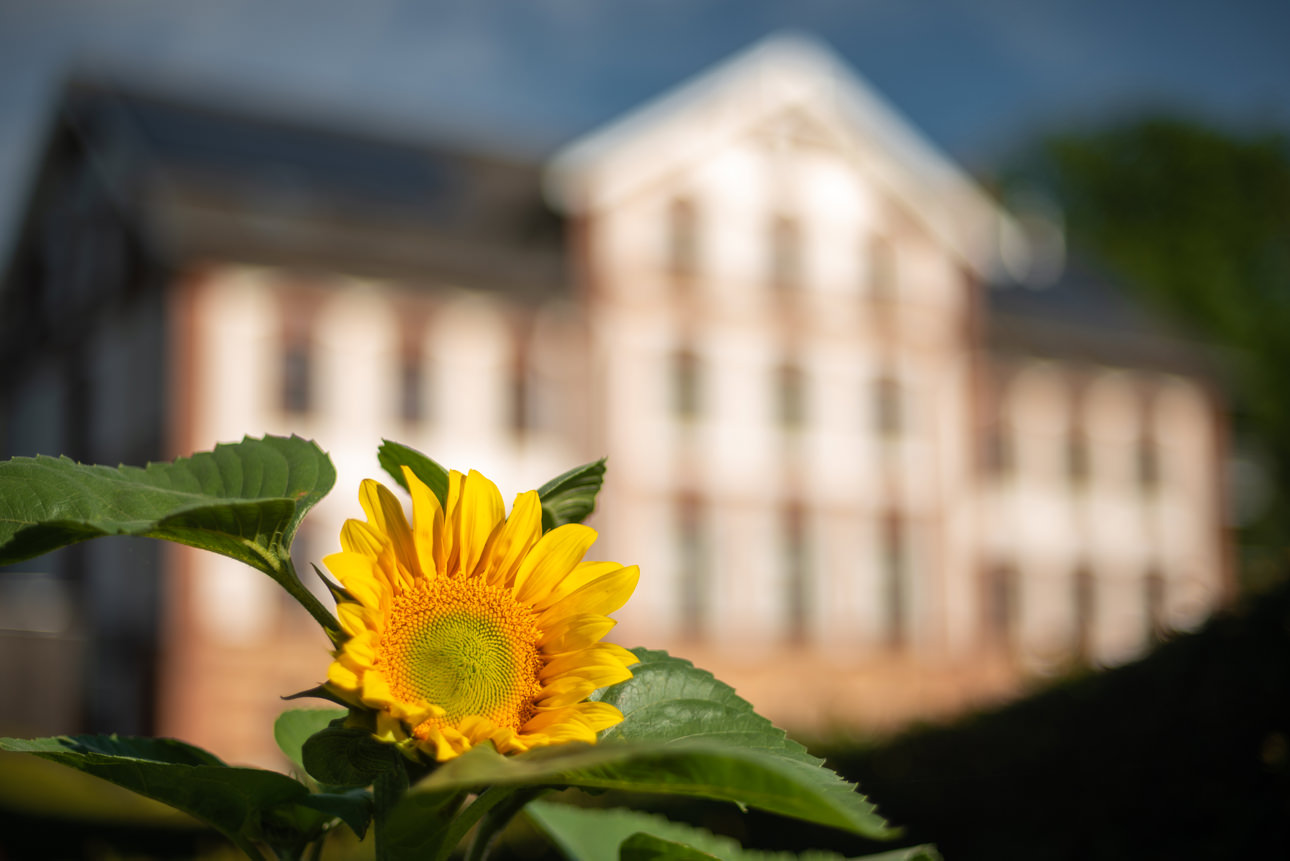 2021-08-03 [HTWS Outdoor Part1]_[fullres Backup]_3868_008